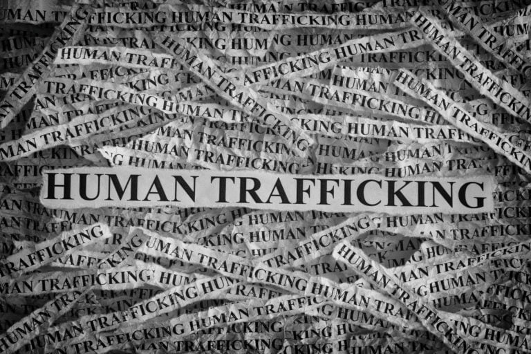 Shredded papers stating "human trafficking' and other words